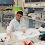hamatmid-3